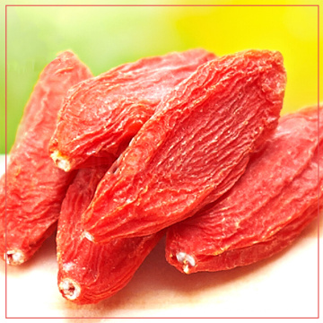 Vente chaude baies de Goji séchées nutritives 280 grains/50g Chine baies de Goji niveau d&#39;exportation goji chinois bienfaits pour la santé Gojihome